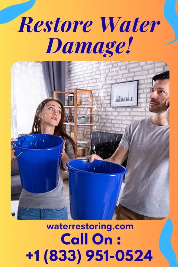 water restoration Global Water Mitigation Experts River Bend