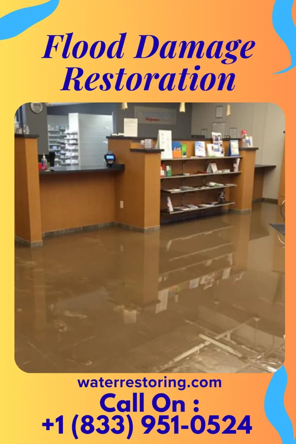 Flood Damage Restoration in River Bend, NC