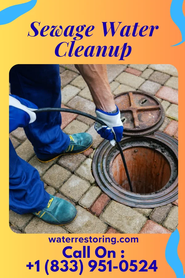 Sewage Water Cleanup in River Bend, NC